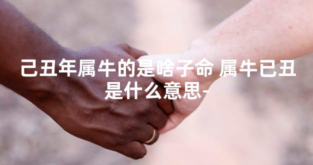 己丑年属牛的是啥子命 属牛已丑是什么意思-